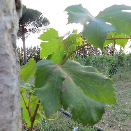 פורטו צ'זראו Agriturismo Occhineri מראה חיצוני תמונה